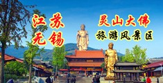 亚洲人男玩女身体视频江苏无锡灵山大佛旅游风景区